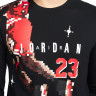 Футболка Jordan M J BRAND HOL LS CREW DC9793-010