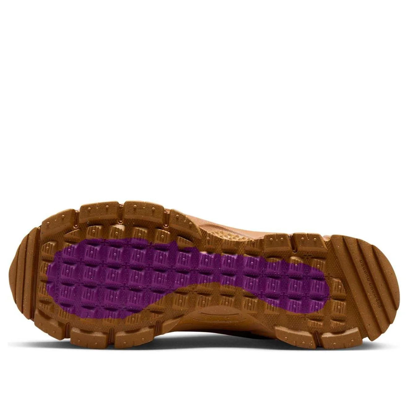 Кросівки Nike Zoon Vomero Roam FV2295-800