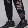 Брюки чоловічі Jordan Brooklyn Fleece (FN4547-010) FN4547-010