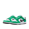 Кросівки Nike DUNK LOW FN3612-300