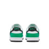 Кросівки Nike DUNK LOW FN3612-300