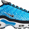 Кросівки чоловічі Nike Air Max Plus Blue HM0718-400