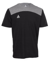 Футболка Select Oxford t-shirt 625750-722