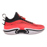 Кросівки JORDAN AIR JORDAN XXXVI LOW DH0833-660