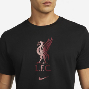 Футболка чоловіча Nike Liverpool Fc Black DM3482-011