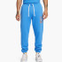 Штани NIKE M NSW HBR-C JOGGER DQ4081-435