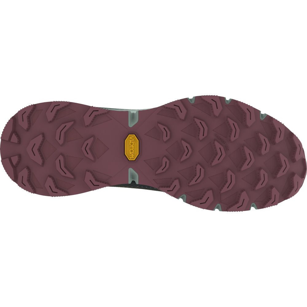 Кросівки Dynafit ULTRA 100 GTX Wms 016.001.2395