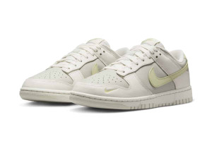 Кросівки Nike WMNS DUNK LOW IB3484-001