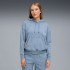 Худі ESS ELEVATED Wash Hoodie 68810334 Худі ESS ELEVATED Wash Hoodie 68810334