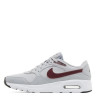 Кросівки Nike Air Max SC CW4556-016
