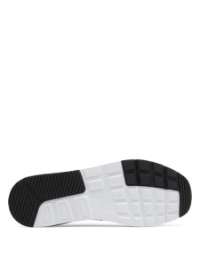 Кросівки Nike Air Max SC CW4556-016