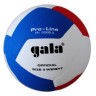 М'яч волейбольний Gala 210 Light 12 BV5555S BV5585S