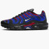 Кросівки Nike AIR MAX PLUS FN7805-001
