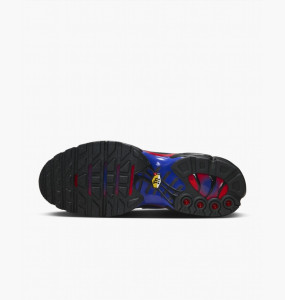 Кросівки Nike AIR MAX PLUS FN7805-001