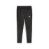 Штани Puma teamFINAL Warm Pant 658573-03