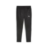 Штани Puma teamFINAL Warm Pant 658573-03