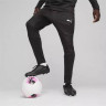 Штани Puma teamFINAL Warm Pant 658573-03