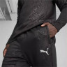 Штани Puma teamFINAL Warm Pant 658573-03