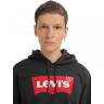 Кофта LEVI'S LOGO HOODIE 384240001