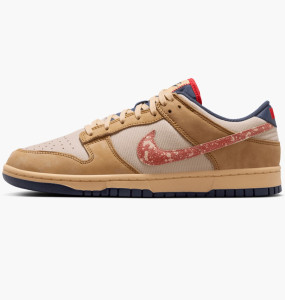 Кросівки Nike DUNK LOW RETRO SE HQ3640-790