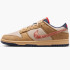 Кросівки Nike DUNK LOW RETRO SE HQ3640-790