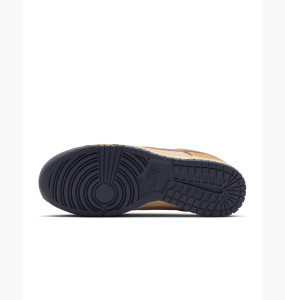 Кросівки Nike DUNK LOW RETRO SE HQ3640-790