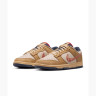 Кросівки Nike DUNK LOW RETRO SE HQ3640-790