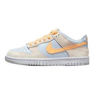 Кросівки Nike D LOW (GS) FB9109-100
