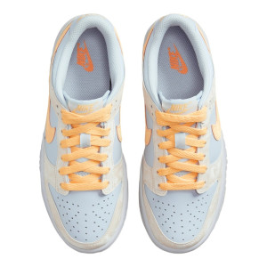 Кросівки Nike D LOW (GS) FB9109-100