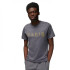 Футболка Nike Paris Saint-Germain Grey DV0634-014
