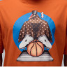 Футболка Jordan Art Ss Tee Orange HF5472-893