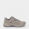 Кросівки Hillcrest Taupe 237379-TPE