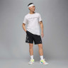 Шорти Jordan M DF SPRT 23 GFX SHORT HF9943-010