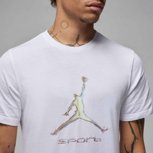 Футболка чоловіча Air Jordan Sprt Dri-Fit Gfx Ss Crew White HQ7984-100