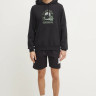 Шорти Men Box Nse Regular Short 0A8C1JKY41 THE NORTH FACE L Чорний 0A8C1JKY41