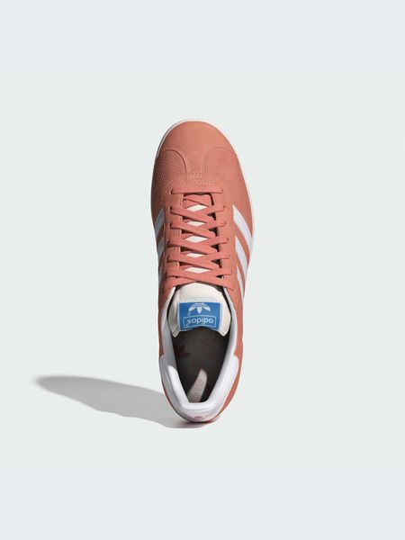 Кросівки Gazelle IG6213