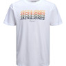 Футболка JORBRADY TEE SS CREW NECK SN 12205503-Bright White-Fit:STD/SOLID Jack&Jones S Білий 12205503-BRIGHT WHITE-FIT