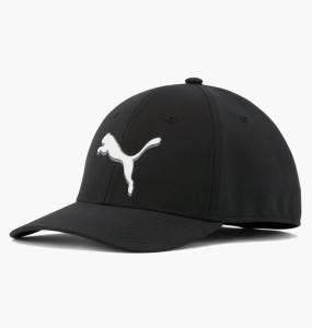 Кепка 858588-01 Puma 858588-01