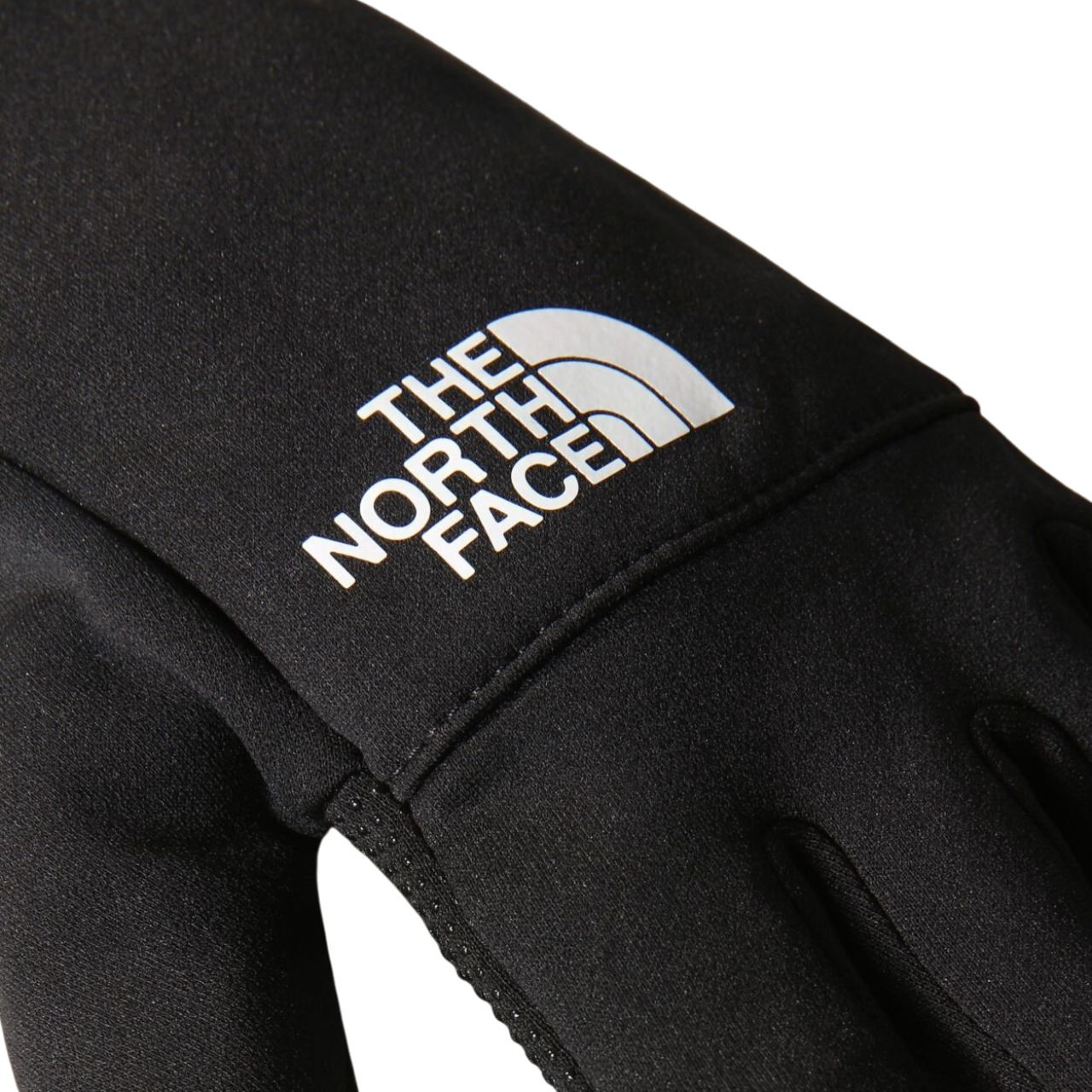 Рукавиці The North Face ETIP RECYCLED GLOVE NF0A4SHAHV21