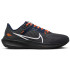 Кросівки NFL x Air Zoom Pegasus 40 Green DZ5982-001 Кросівки NFL x Air Zoom Pegasus 40 Green DZ5982-001