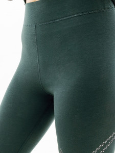 Лосини Nike NS PE SHINE HR TGHT FB8766-328