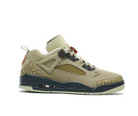 Кросівки Air Jordan Spizike Low Nbhd HM4732-200