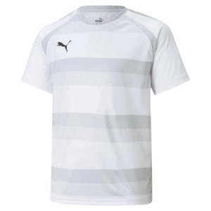 Футболка teamVISION Jersey Jr puma white-glaciergray-black 704928-04