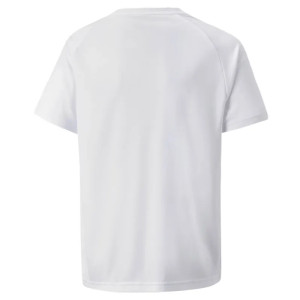Футболка teamVISION Jersey Jr puma white-glaciergray-black 704928-04