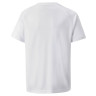 Футболка teamVISION Jersey Jr puma white-glaciergray-black 704928-04