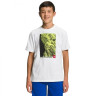 Футболка THE NORTH FACE GRAPHIC T-SHIRT NF0A82T8-VK91
