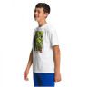 Футболка THE NORTH FACE GRAPHIC T-SHIRT NF0A82T8-VK91