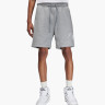 Шорти Air Jordan Essentials Fleece Shorts Grey FN4535-091