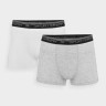 Труси-боксери BOXER SHORTS M051 (2PACK) 4FWMM00UBXSM051-10S 4F 4FWMM00UBXSM051-10S