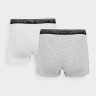 Труси-боксери BOXER SHORTS M051 (2PACK) 4FWMM00UBXSM051-10S 4F 4FWMM00UBXSM051-10S